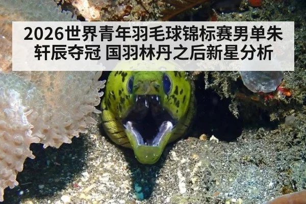2026世界青年羽毛球锦标赛男单朱轩辰夺冠 国羽林丹之后新星分析